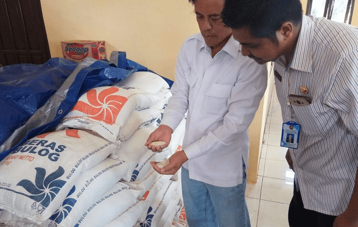 Beras Bantuan untuk Korban Banjir di Kotawaringin Barat Kalteng Berkutu dan Bau Tidak Seda