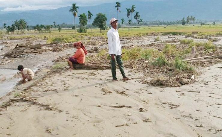 Banjir Hancurkan 40 Hektar Kebun Kakao dan Karet di Aceh Tenggara