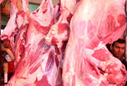 Dijual Rp 60 ribu, Daging Kerbau India Mulai Datang Bulan Ini