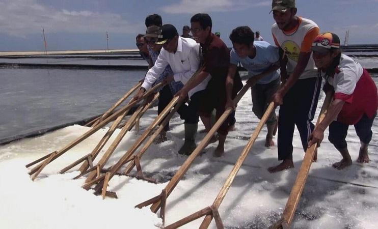 Ribuan Hektare Lahan Garam di NTT Mangkrak, Menteri Agraria Ancam Cabut HGU