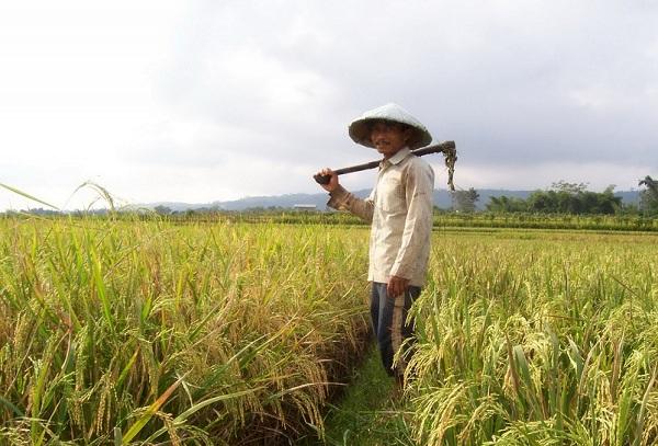 Hari Tani Nasional, Petani Cilacap Minta Presiden Keluarkan Keppres Reforma Agraria
