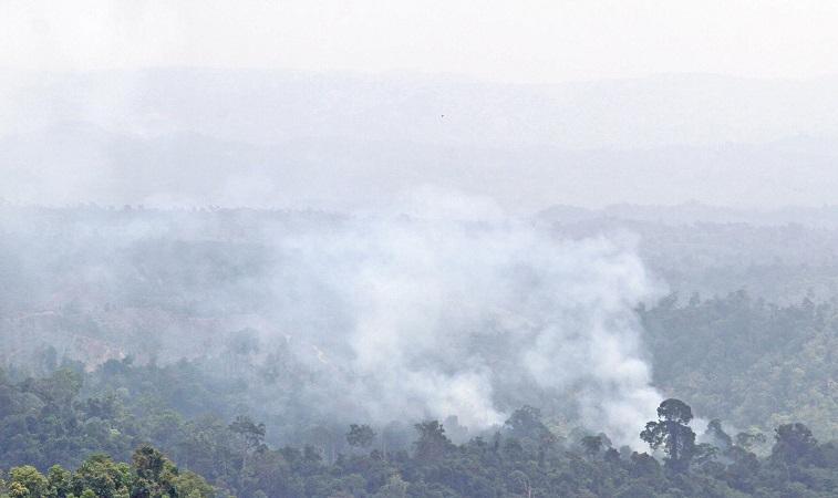 Daerah Rawan Kebakaran Lahan Bertambah, Wiranto Salahkan Warga