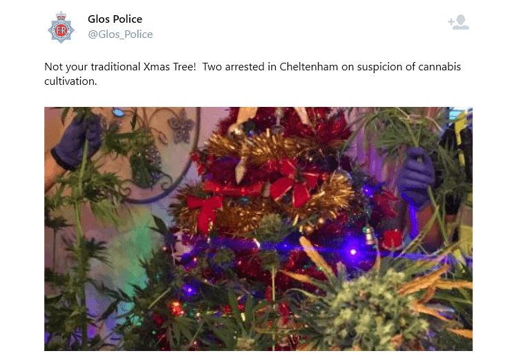 INTERMEZO: Polisi Sita Pohon Natal Terbuat dari Daun Ganja