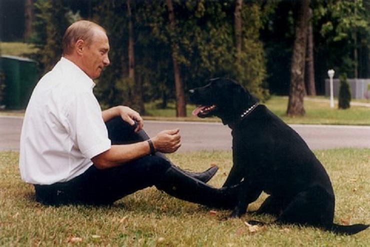 INTERMEZO: Rusia Tolak 'Diplomasi Anak Anjing' dari Jepang