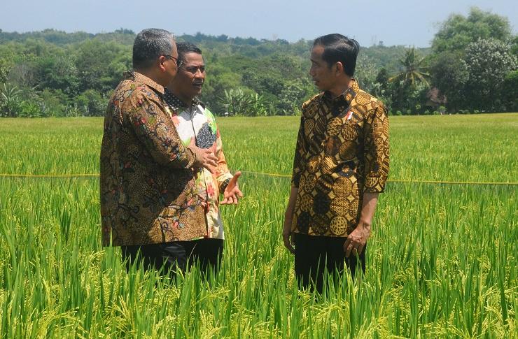 Begini Saran Jokowi ke Petani Soal Pemangkasan Rantai Distribusi Pangan