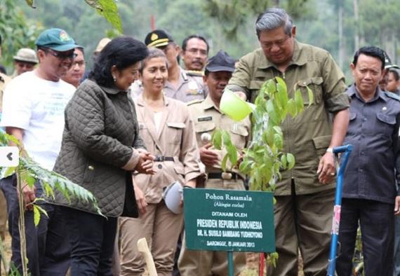 Susilo Bambang Yudhoyono saat menanam pohon di Sarongge. (Foto: Danny Setiawan)