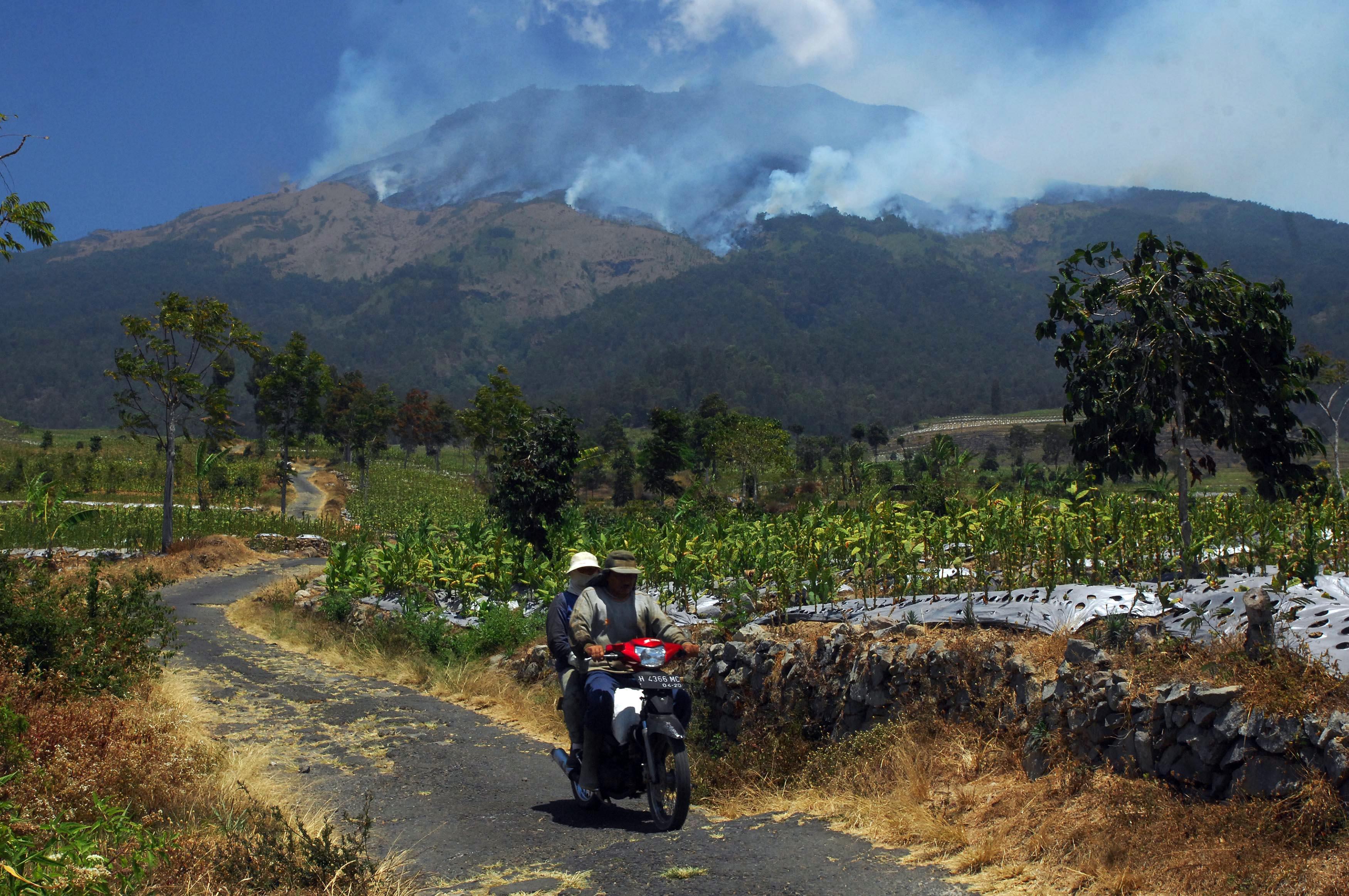 Kebakaran di Gunung Sumbing-Sindoro, Ganjar Minta Perhutani Lakukan Kanalisasi