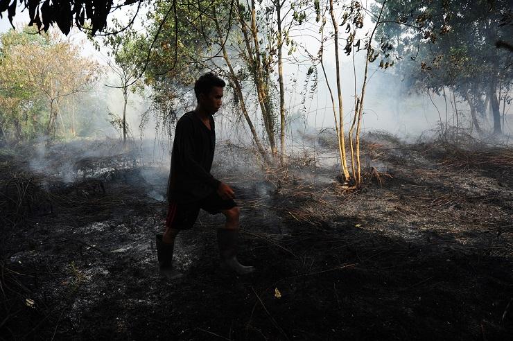 Karhutla di Riau Hanguskan 3.218 Hektar Lahan Sejak Januari