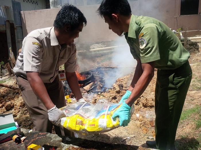 Karantina Nunukan Musnahkan  Ribuan Bibit Sawit dan Ratusan Kilo Daging Ilegal dari Malays