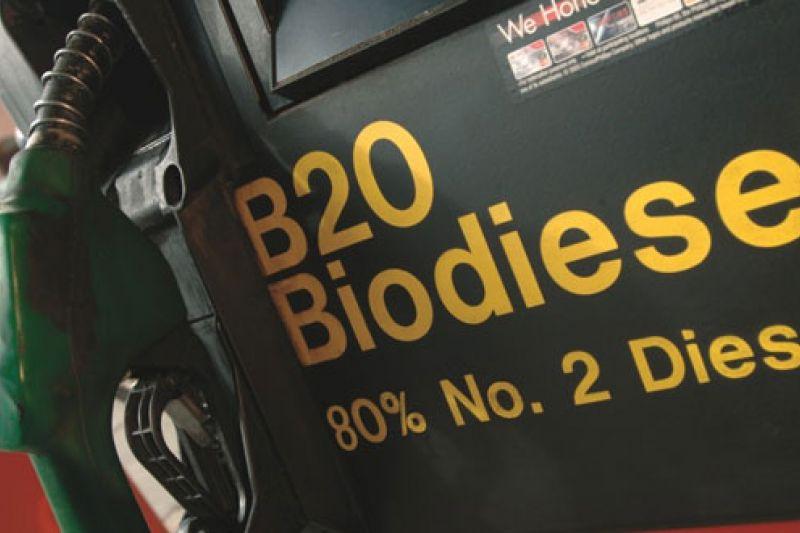 Pemakaian Biodiesel Rendah, Ini Kata Jokowi