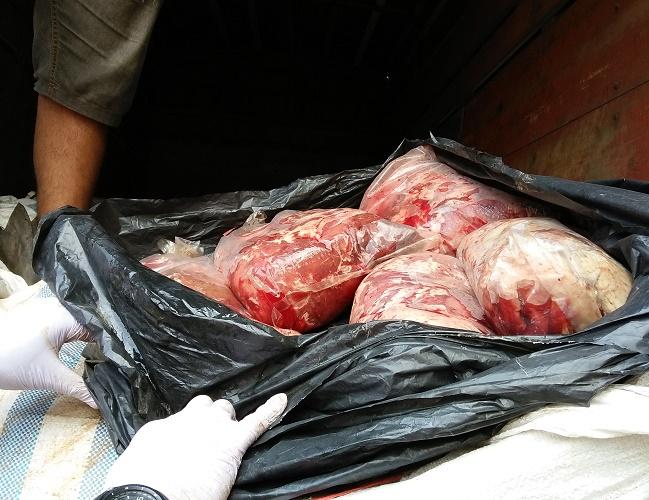 Kepolisian Pelabuhan Panjang Lampung Gagalkan Penyelundupan 3 Ton Daging Celeng