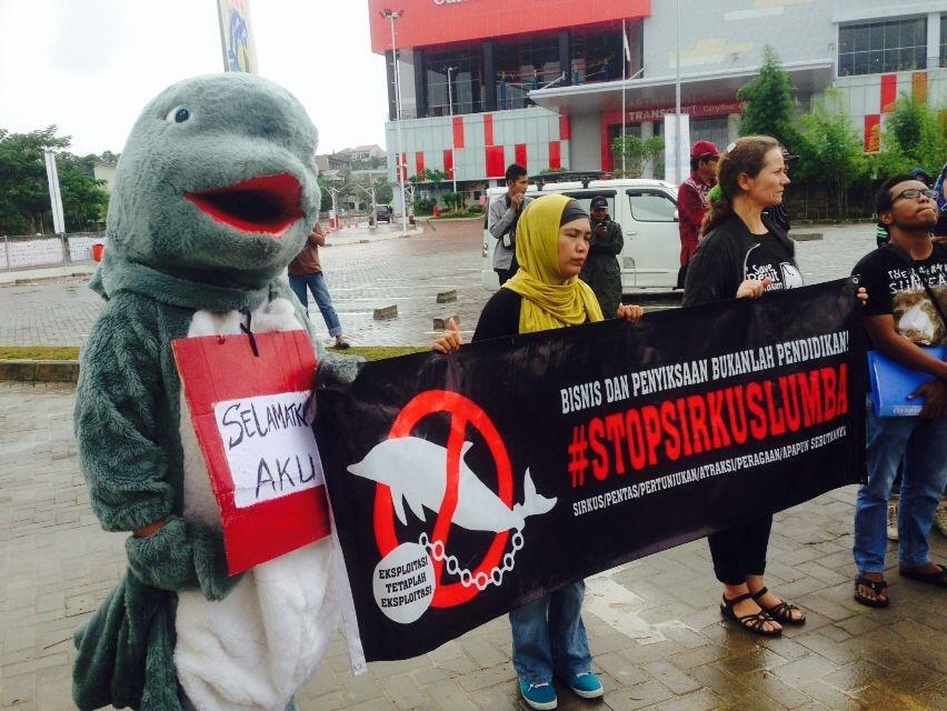 Eksploitasi Satwa, Aktivis Balikpapan Demo Tolak Sirkus Lumba-lumba