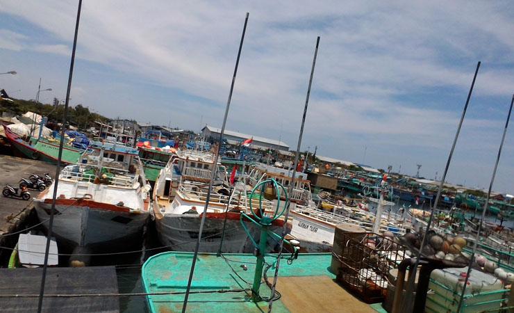 Protes  Menteri Susi, Ratusan Kapal Penangkap Ikan Mogok Melaut di Pelabuhan Benoa