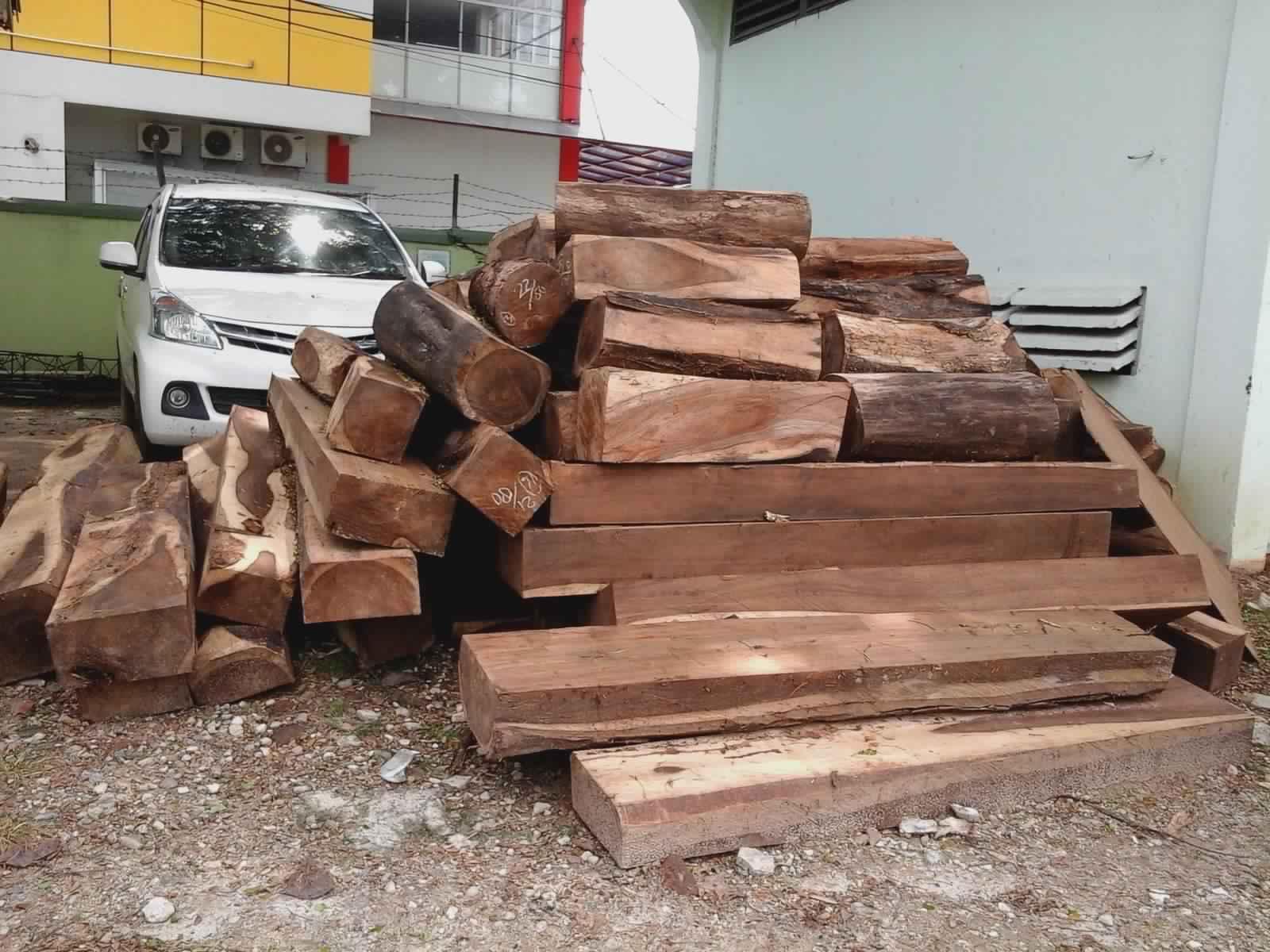 Di Kawasan Lampung Ini, Illegal Logging Dianggap Biasa