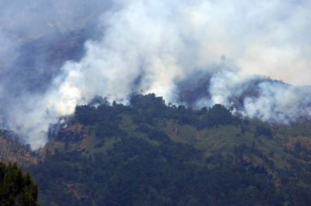 Kebakaran di Gunung Sindoro-Sumbing, Ini Alasan BPBD Malah Minta Pengerahan Pawang