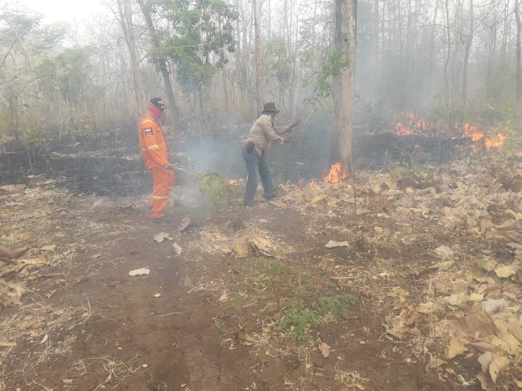 Kemarau,  Hutan di Taman Nasional Baluran Terbakar