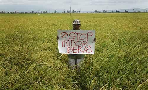 Petani aksi tunggal menolak impor beras