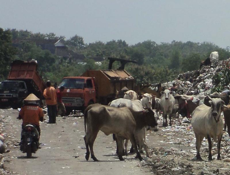 Pembangkit Listrik Tenaga Sampah di Solo Butuh Biaya Rp. 417 M