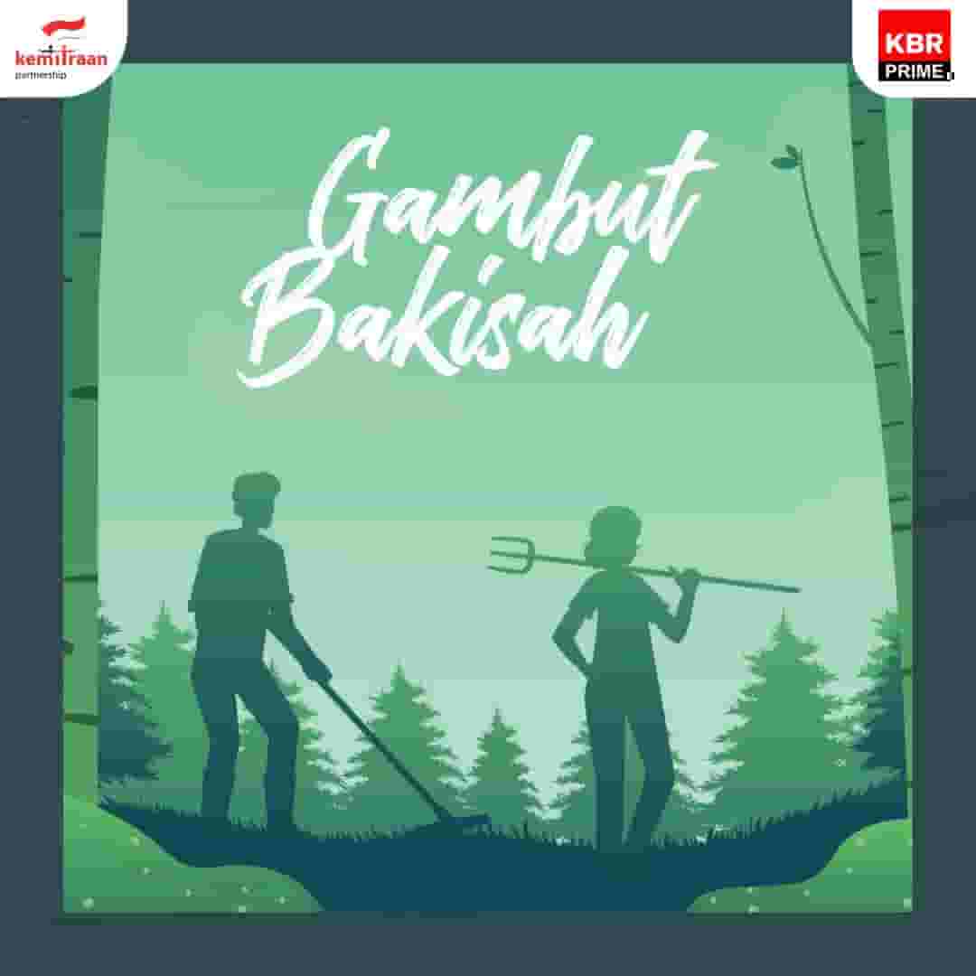 Gambut Bakisah