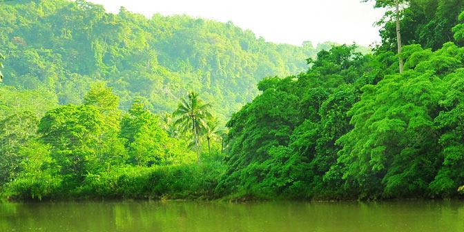 Lahan Hutan untuk Cadangan Usaha Tambang akan Dikenai Biaya