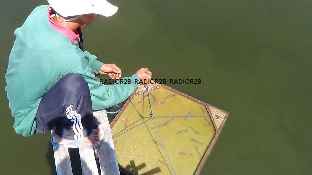 Petambak Udang di Rembang Keluhkan Limbah Pabrik