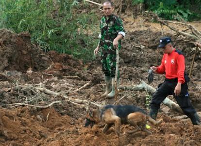 Lima Warga Tewas Tertimbun Longsor di Tegal