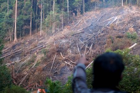 Tata Kelola Hutan di Indonesia Masih Buruk