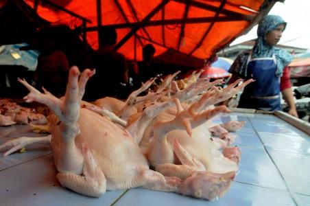 Kenaikan Harga Daging Ayam Ancam Industri Makanan