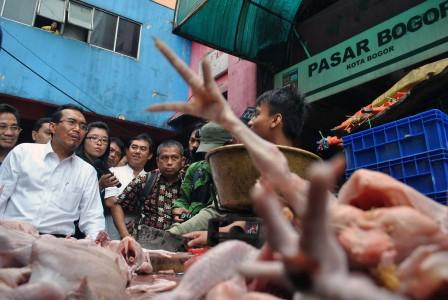 Mentan: Kenaikan Harga Daging Ayam Sudah Tak Wajar