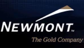 Katadata: Pembelian Saham Newmont Lebih Optimal Dilakukan BUMN