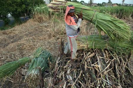 APTRI: Pemerintah Biarkan Gula Rafinasi Bocor ke Pasar