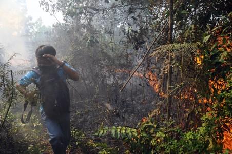 Penyebab Meluasnya Kebakaran Hutan di Aceh Jaya