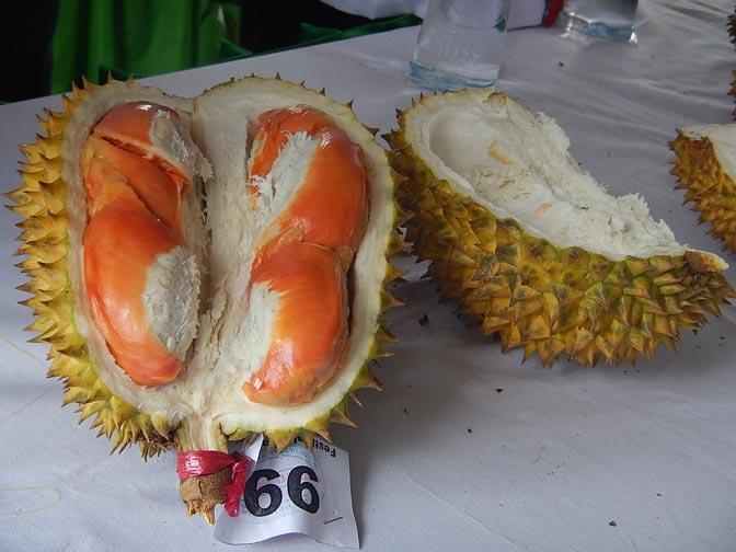 Durian Merah Khas Banyuwangi