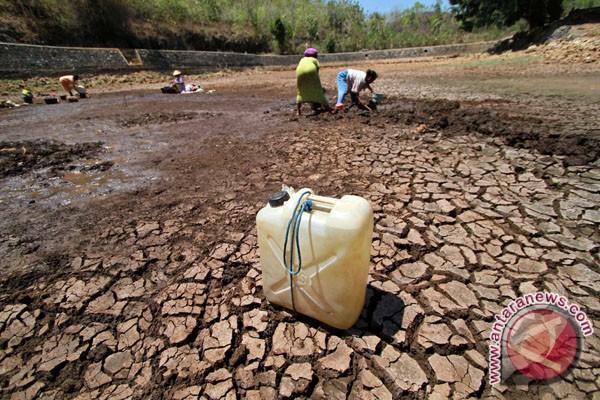 40 Desa di Jepara Kekeringan