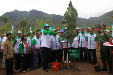 Dua Miliar Pohon Ditargetkan Ditahan Sampai Tahun Depan