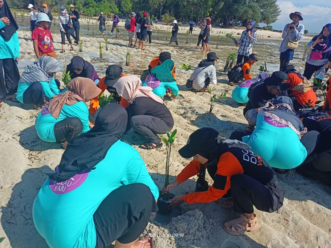 Kolabs di Lingkungan, Walhi-Dompet Dhuafa Tanam 1.000 Mangrove di Pulau Pari