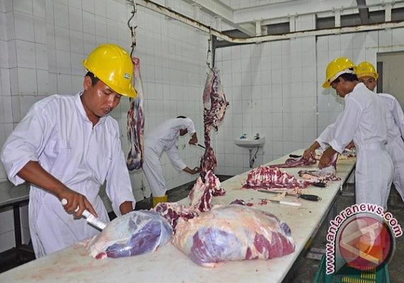 Cegah  Daging Sapi Gelonggongan, Pemkab Bondowoso  Awasi Rumah Potong