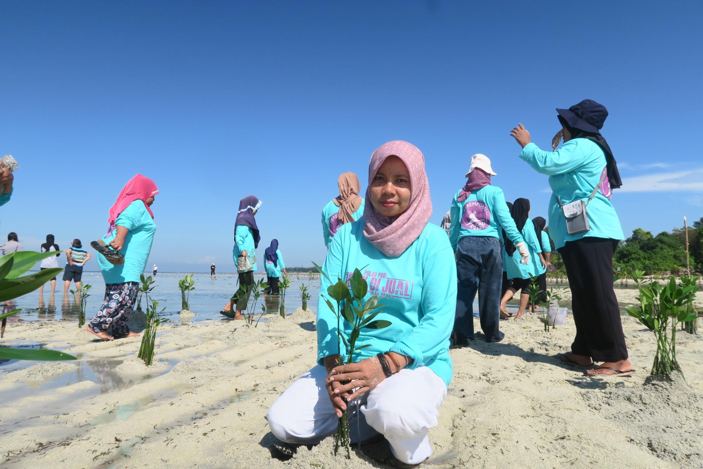 Pulau Pari Abrasi, DMC Dompet Dhuafa Sarankan Warga Kelola Penanaman Mangrove untuk Wisatawan