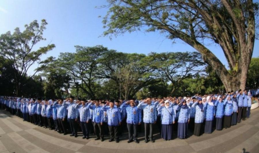 Langgar Netralitas, Banyak ASN Cawe-cawe di Pilkada