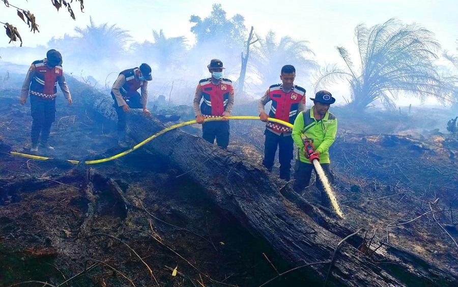 Kebakaran Hutan Meluas di Aceh, karena Puntung Rokok?