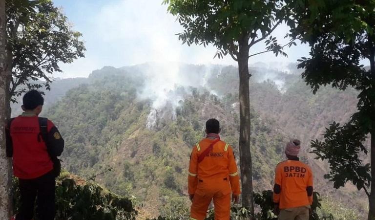 Lereng Gunung Argopuro Terbakar, Pendakian Ditutup