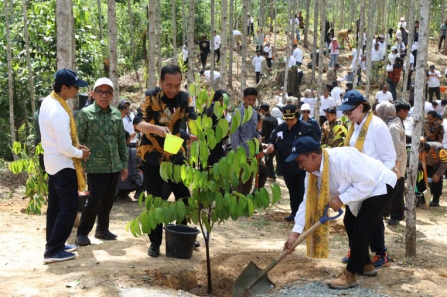 Hutan Wanagama