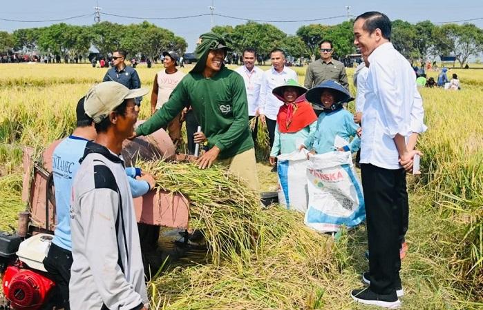 Jokowi Beri Bantuan Gagal Panen ke Petani