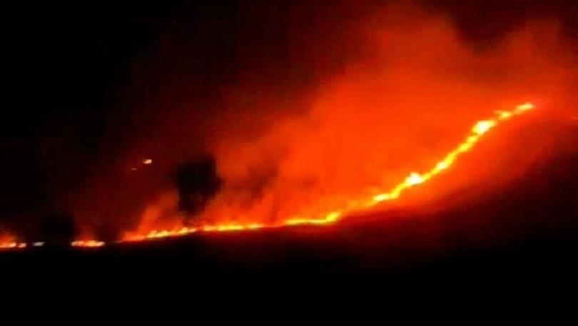 Puluhan Hektare Lahan di  Kawasan Gunung Ijen Terbakar