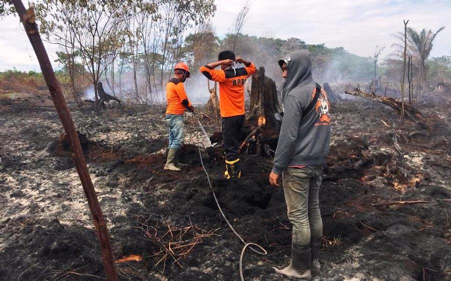 Karhutla, Kendala Pemadaman, dan Asap Lintas Batas