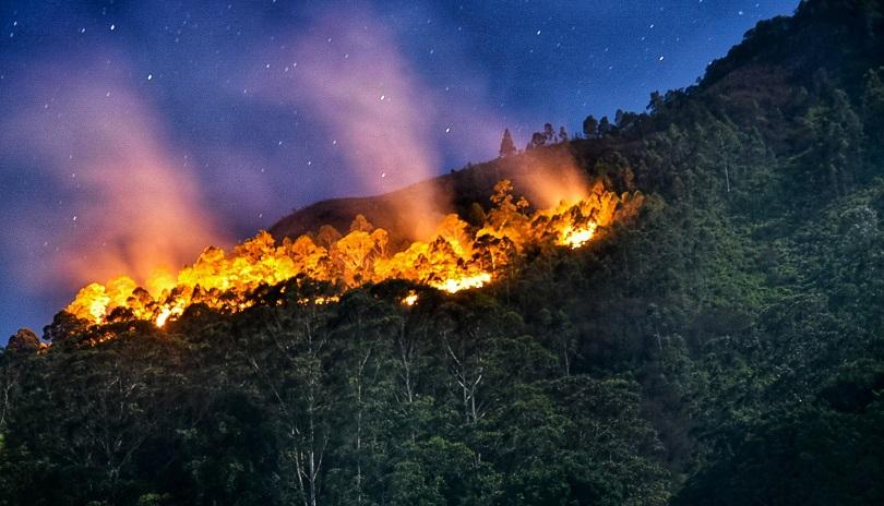 Karhutla, kebakaran hutan dan lahan, kekeringan, Juli periode kekeringan kebakaran hutan lahan, peri