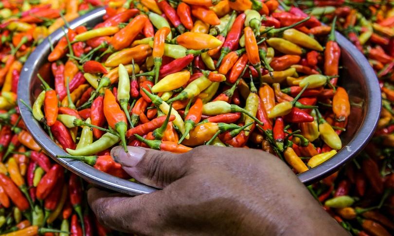 Harga Cabai Merah 54 Ribu per Kilogram