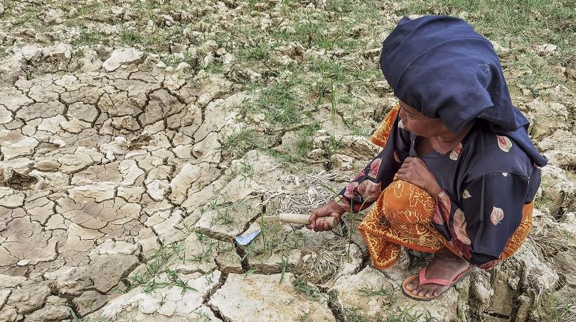 Puluhan Daerah Darurat Kekeringan Ancam Ketahanan Pangan