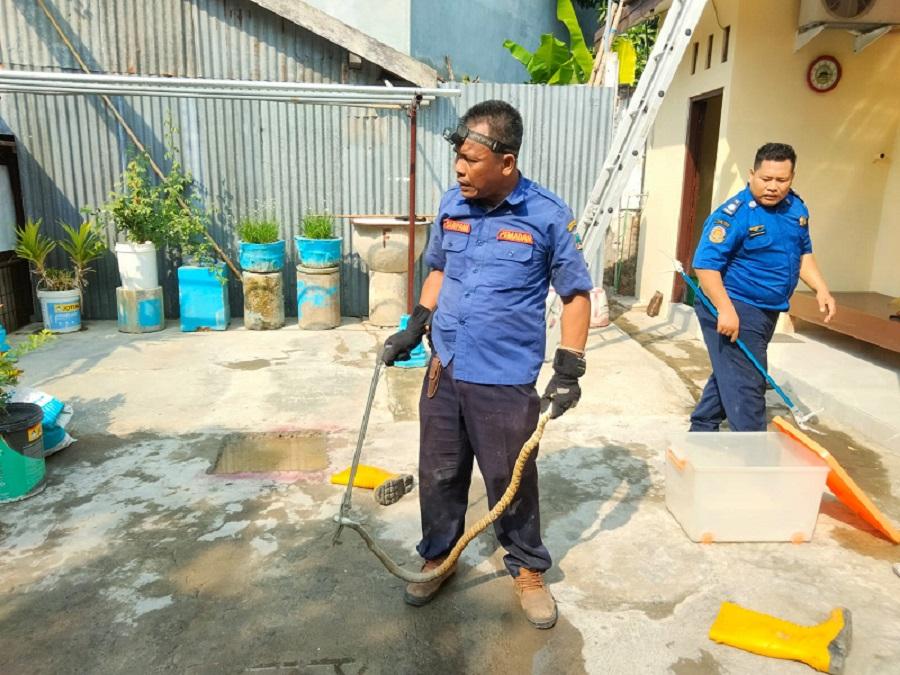 Musim Penghujan, Sejumlah Ular Masuk Rumah di Rembang