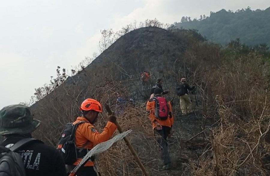 Ratusan Hektare Hutan di Gunung Anjasmoro Terbakar, Petugas Menyisir Titik Api